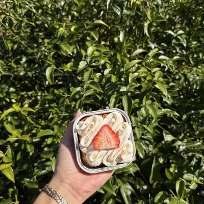Simple Cake