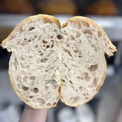 Plain Sourdough