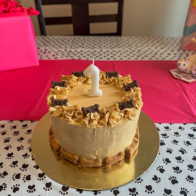 •Dog Cake•