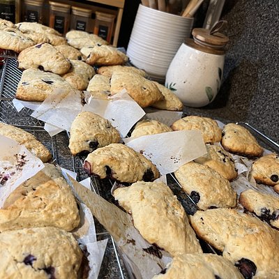 Lemon Blueberry Sourdough Scones (8 Count)