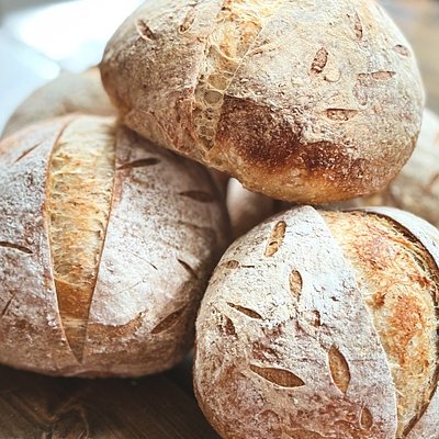 Everyday Trio-Classic, Everything Cozy, Italian Herb And Cheese