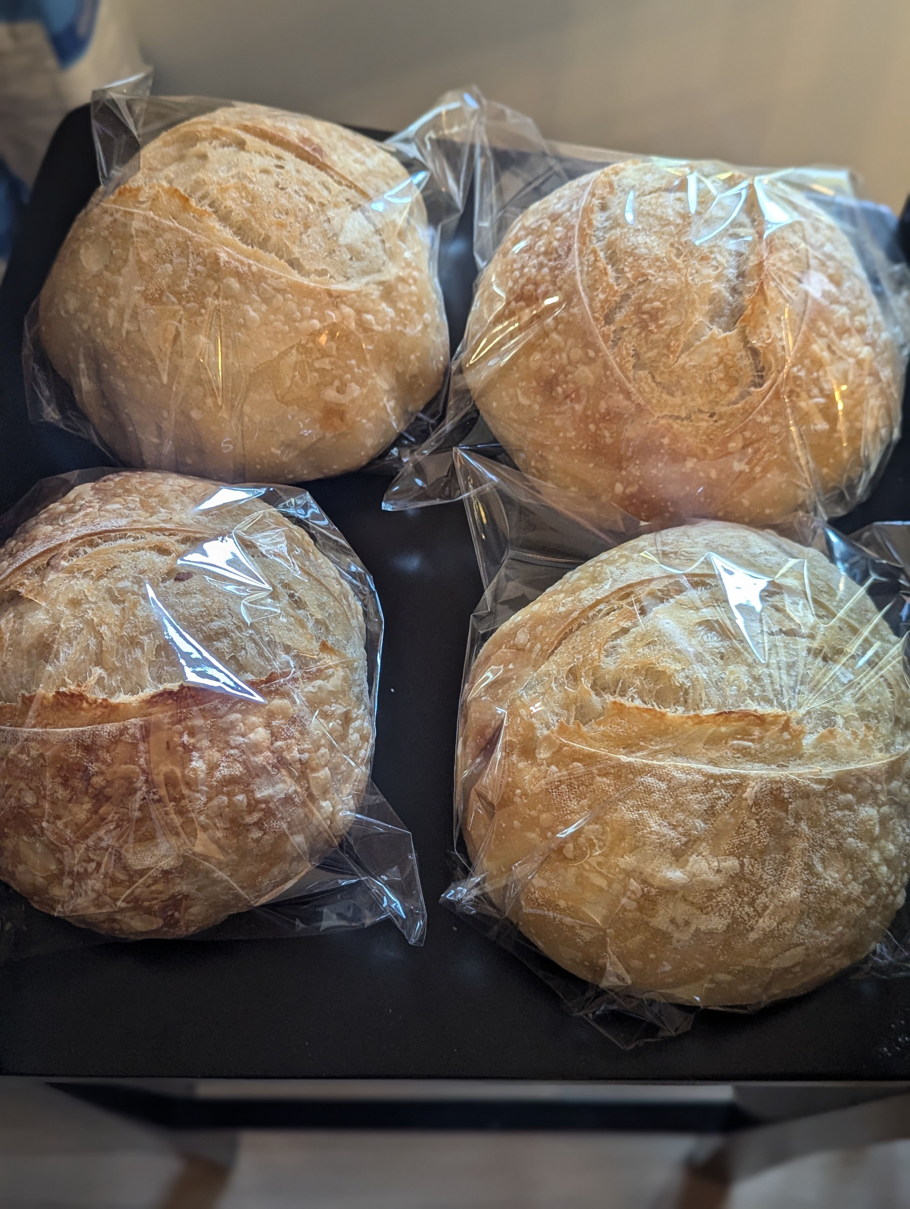 Mini Plain Boule