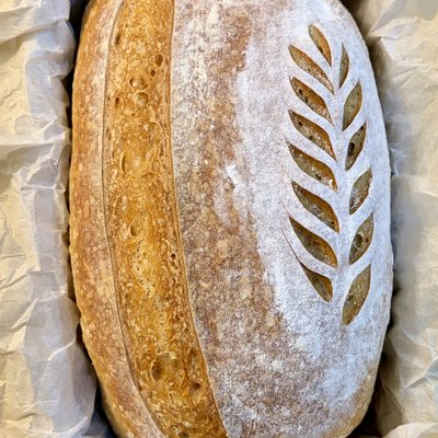 Classic Sandwich Sourdough 