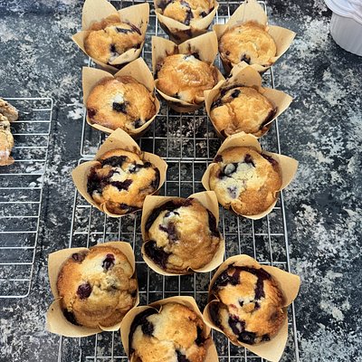 Sourdough Muffins