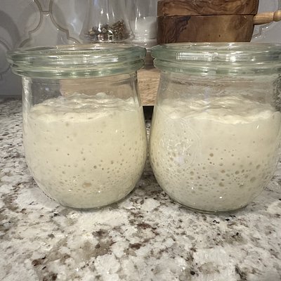 Sourdough Discard