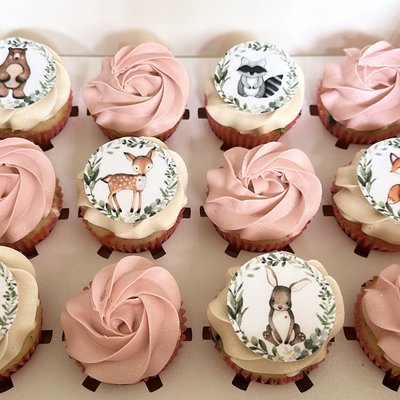 Dozen Cupcakes