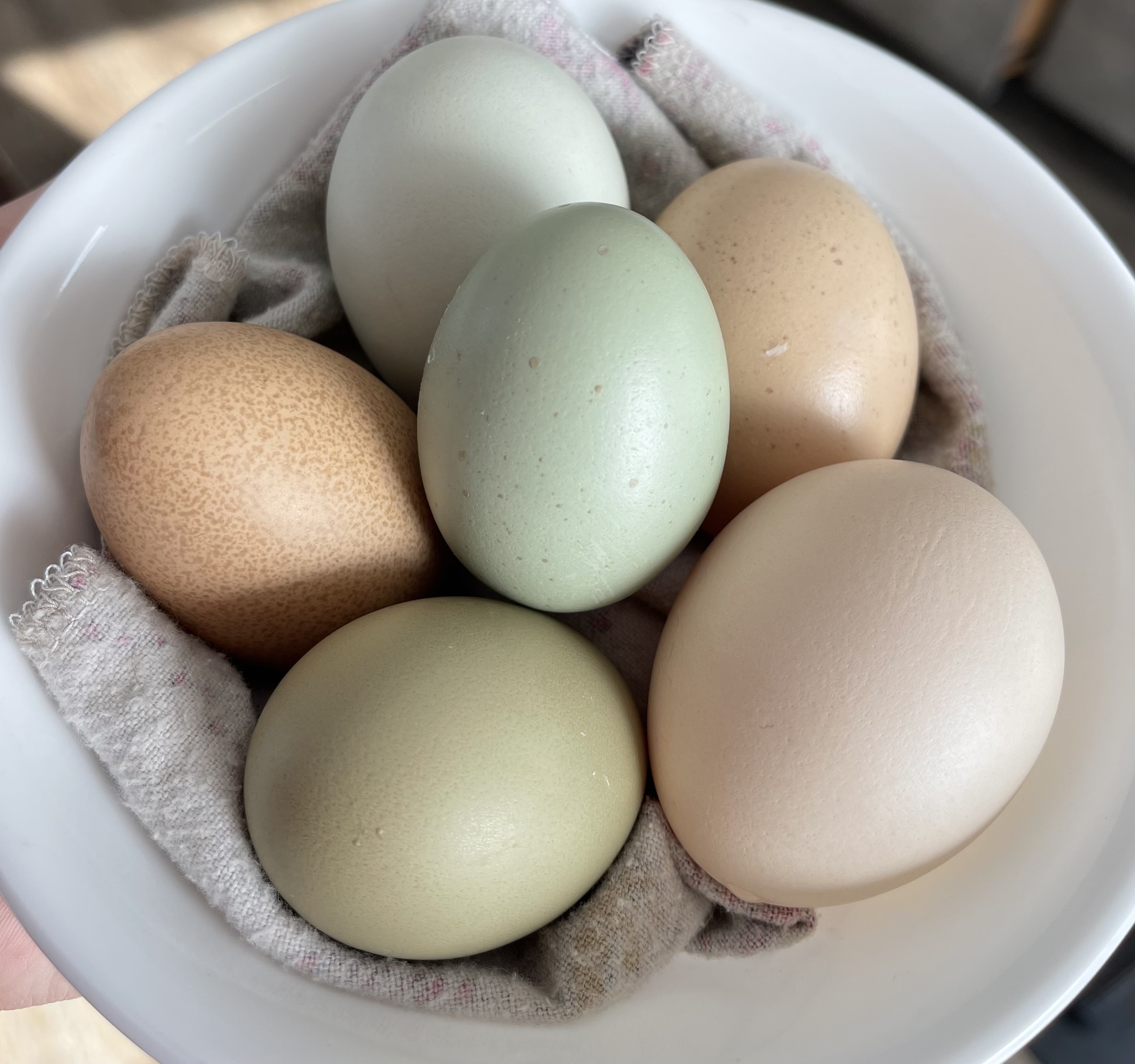 Eggs (1 Dozen)
