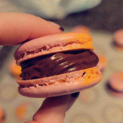 Variety Dozen - Macarons