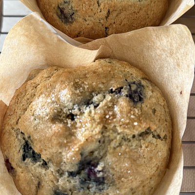 Blueberry Muffins 