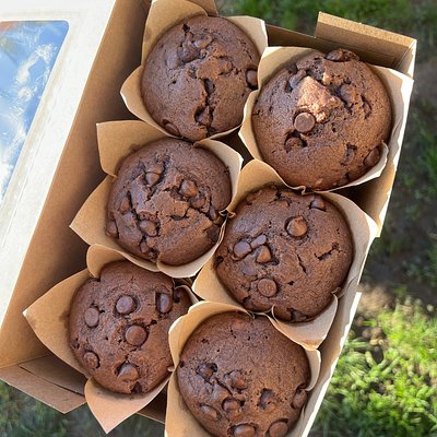 6ct. Double Chocolate Chip Sourdough Muffins