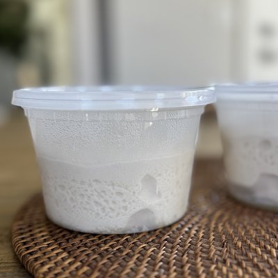 Sourdough Pizza Dough 4 Pack🍕