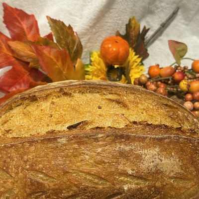 Pumpkin Spice Sourdough 