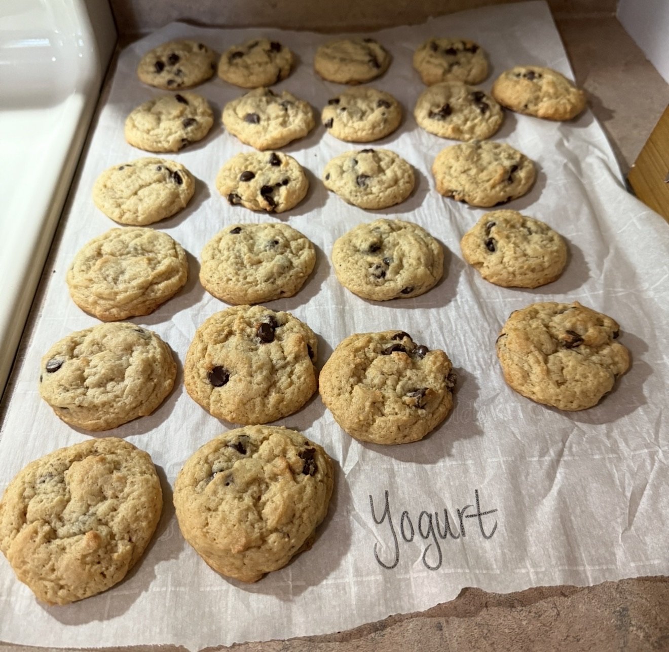 Chocolate Chip Cookies With Yogurt(12)