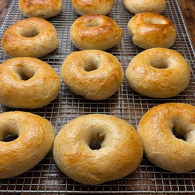 Sourdough Bagels - Regular 