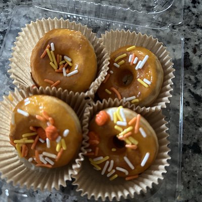 Fall Minis 🍁🎃