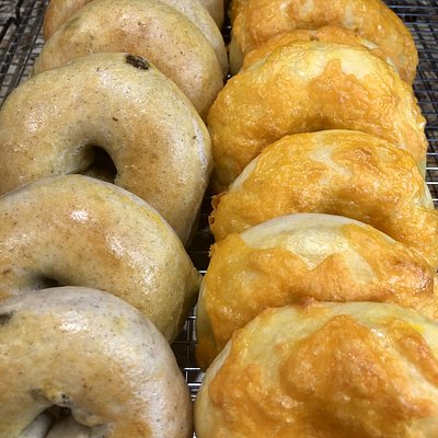6 Pack of Asiago Cheese Bagels