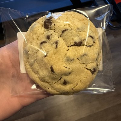 Chocolate Daydream (12pack) 