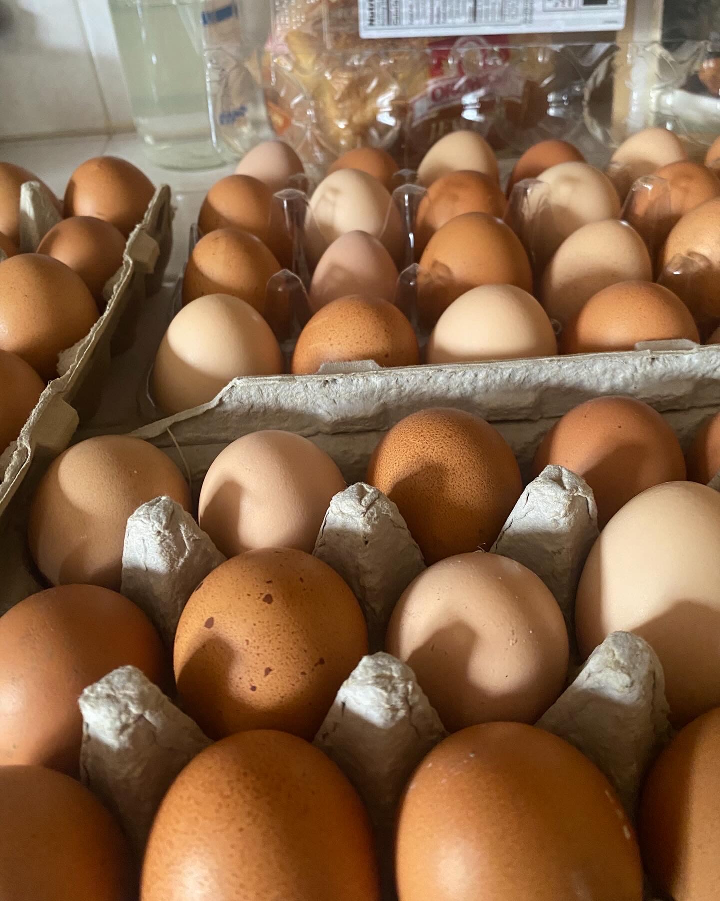 Farm Fresh Eggs (1 Dozen)