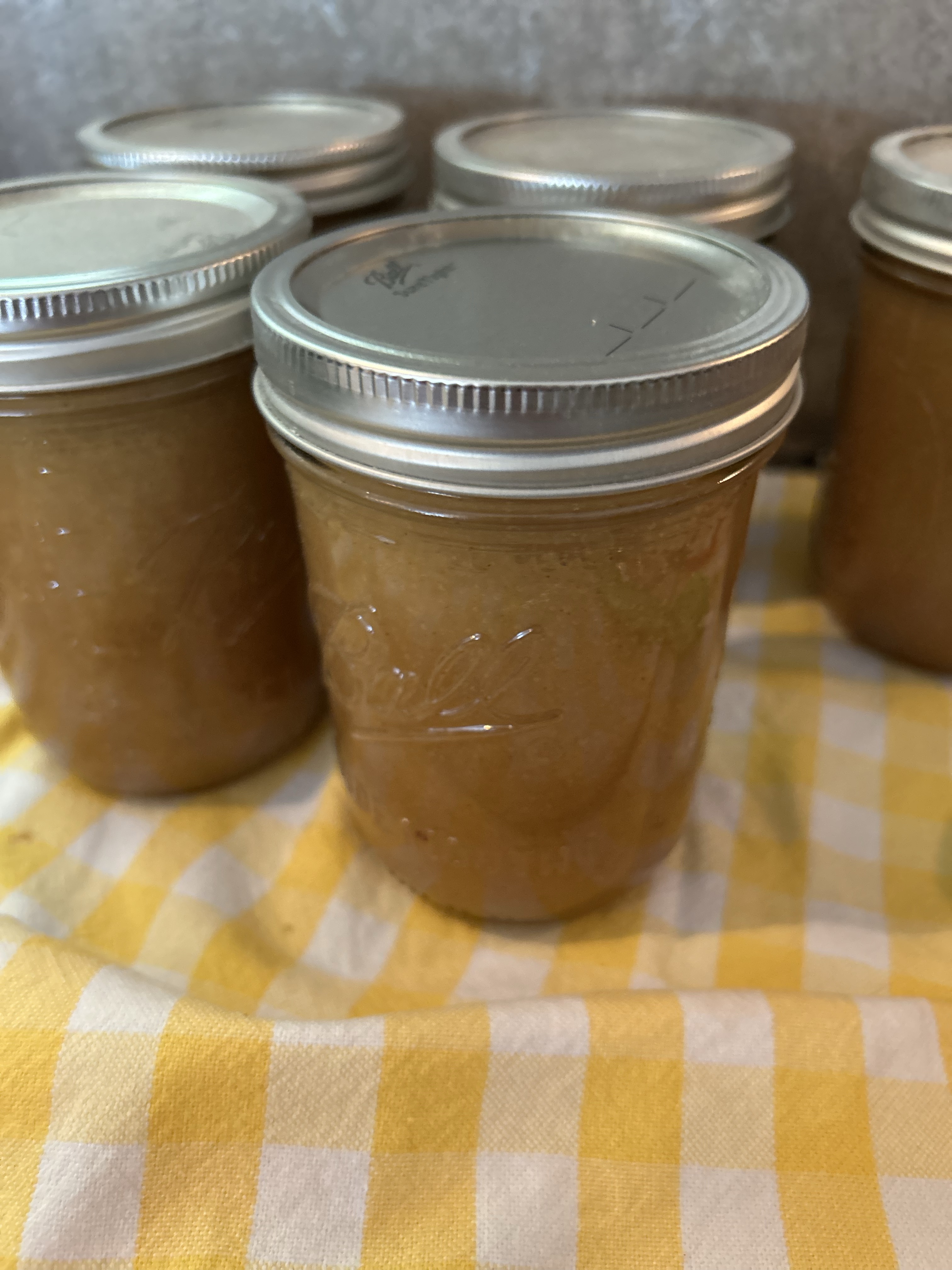 Homemade Macintosh Or Jonathan Applesauce 8 Ounce
