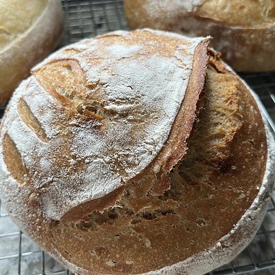 Honey Wheat Sourdough 