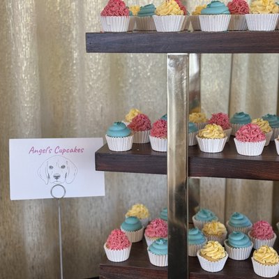 1 Dozen Regular Sized Vegan And Gluten-Free Cupcakes Seasonally Assorted