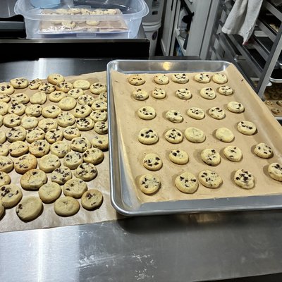 Chocolate Chip Mini Bites W/ Chocolate Sauce