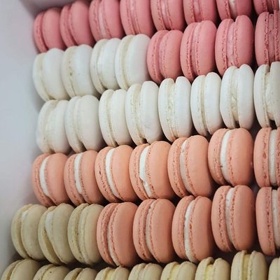Macarons Per Dozen 