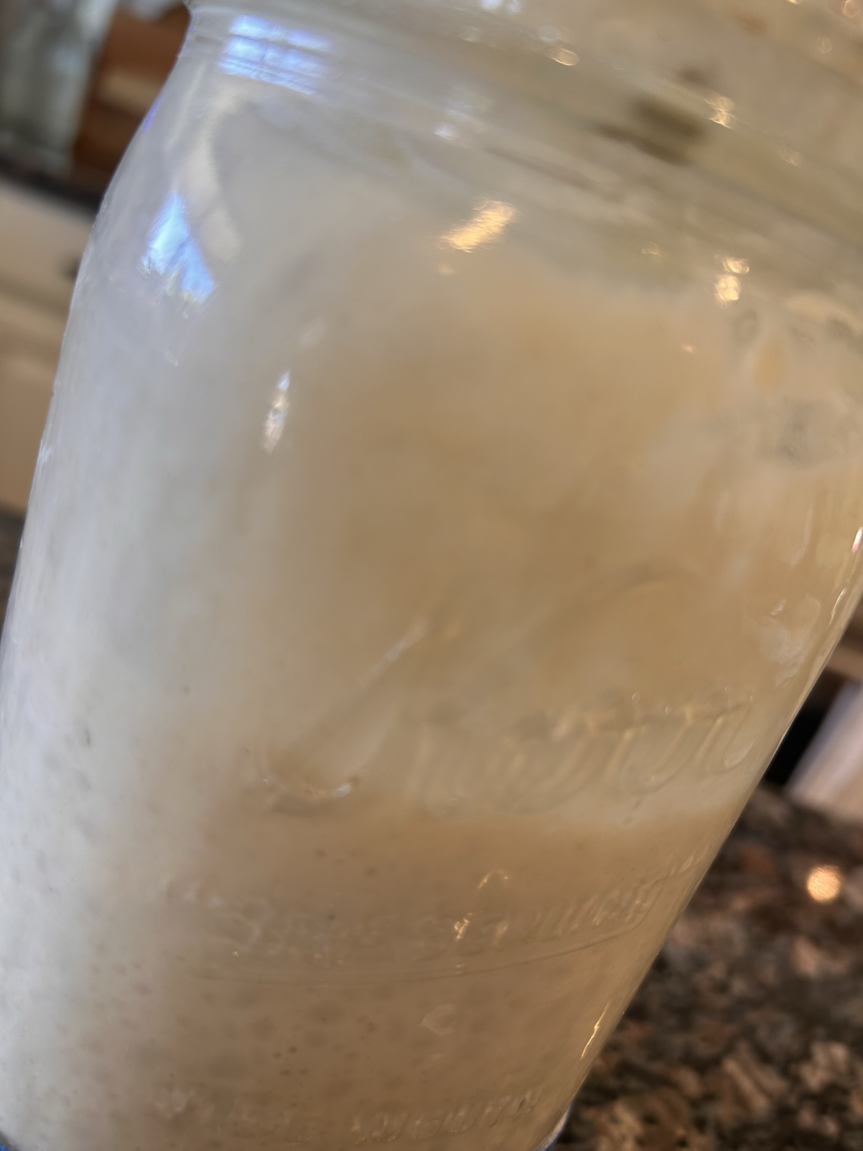 Fresh Sourdough Starter