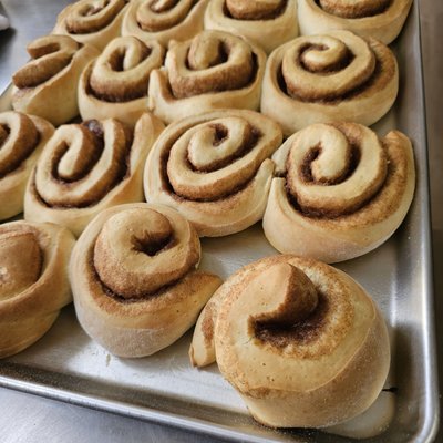 One Dozen Cinnamon Rolls