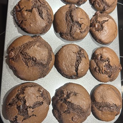 Sourdough Double Chocolate Muffins