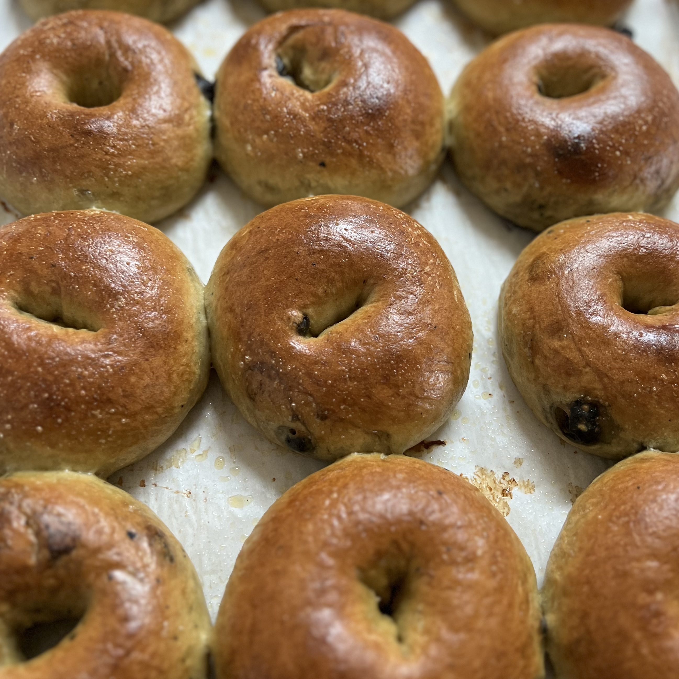 Blueberry Butter Bagels- 6ct