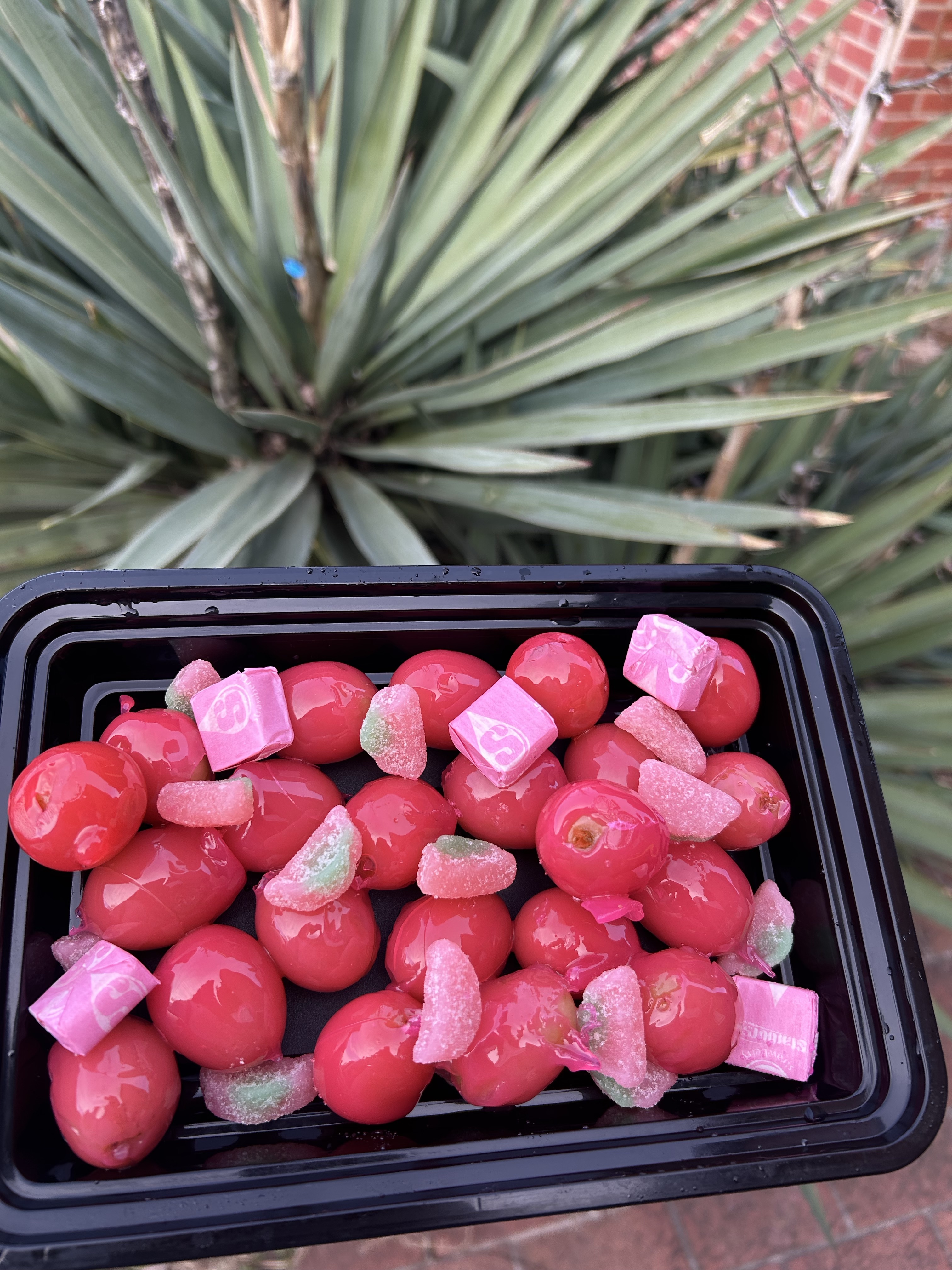 Candied Grapes