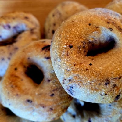 Half Dozen Blueberry Sourdough Bagels
