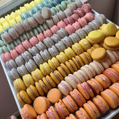 One Dozen Macarons