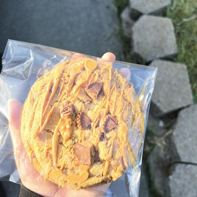 Chocolate Peanut Butter Cookie