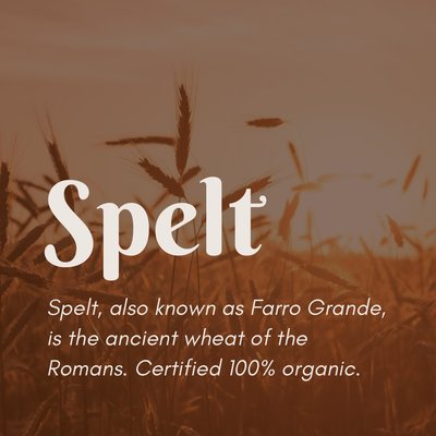 Organic Spelt Berries (50 lb)