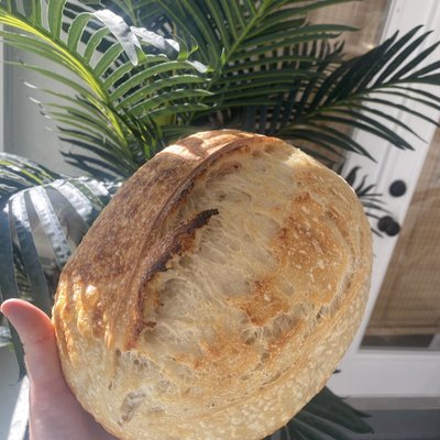 Original Plain Sourdough Loaf