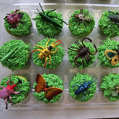 Cupcakes