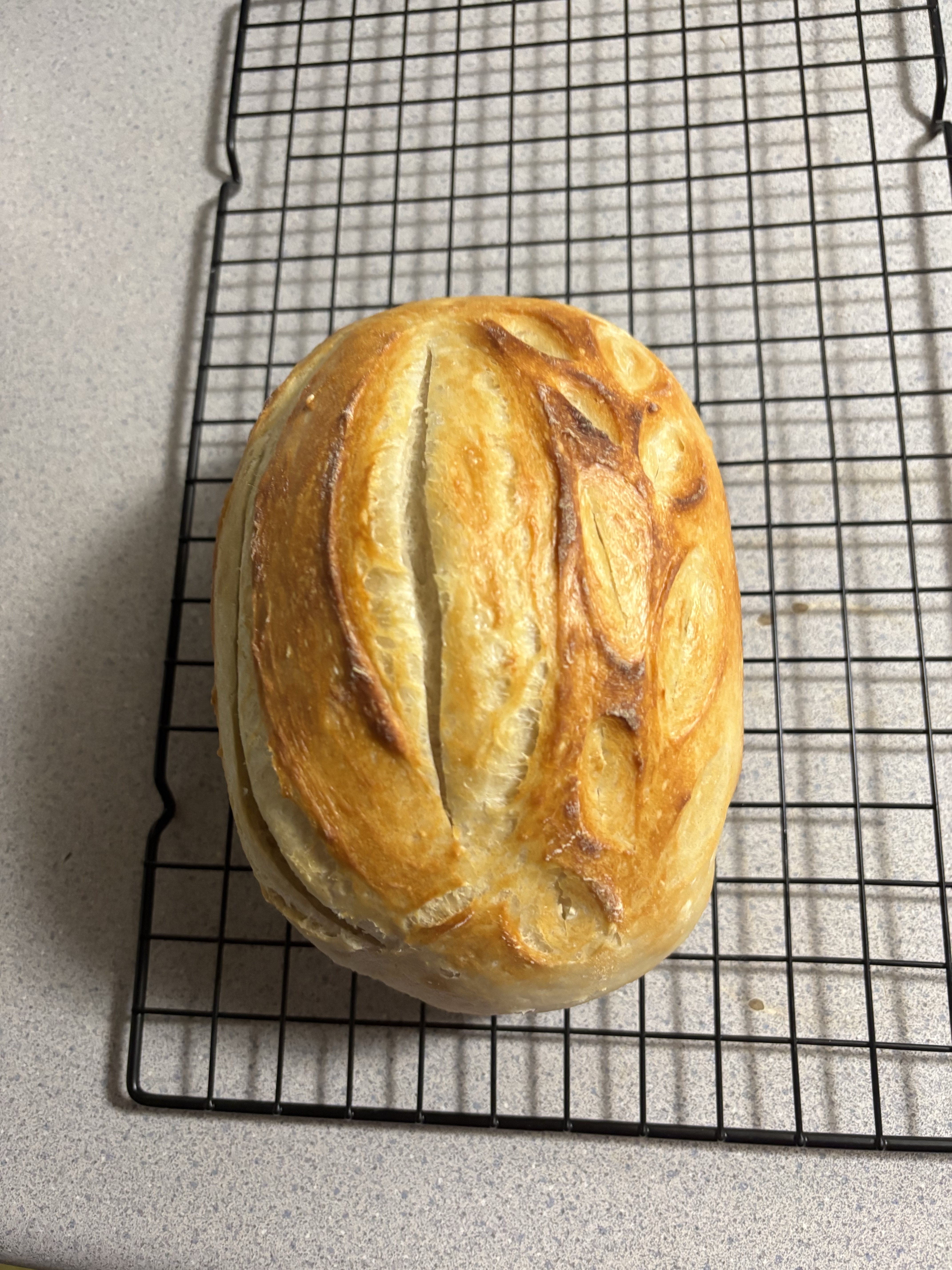 Sour Dough Loaf