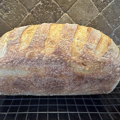 Sourdough Loaf