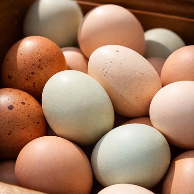 Fresh Eggs (1 dozen)