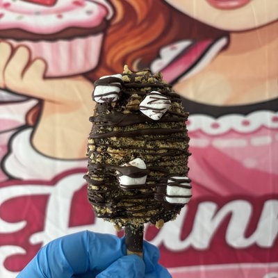 S’mores Cakesicle 