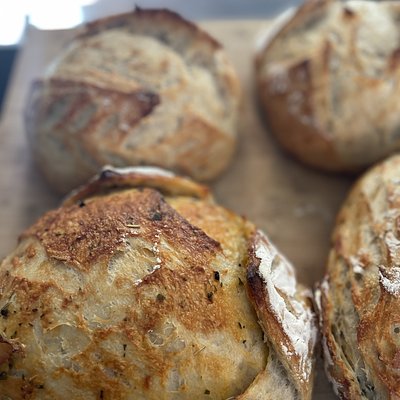 Roasted Garlic & Rosemary Sourdough 