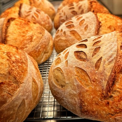 Rustic Boule