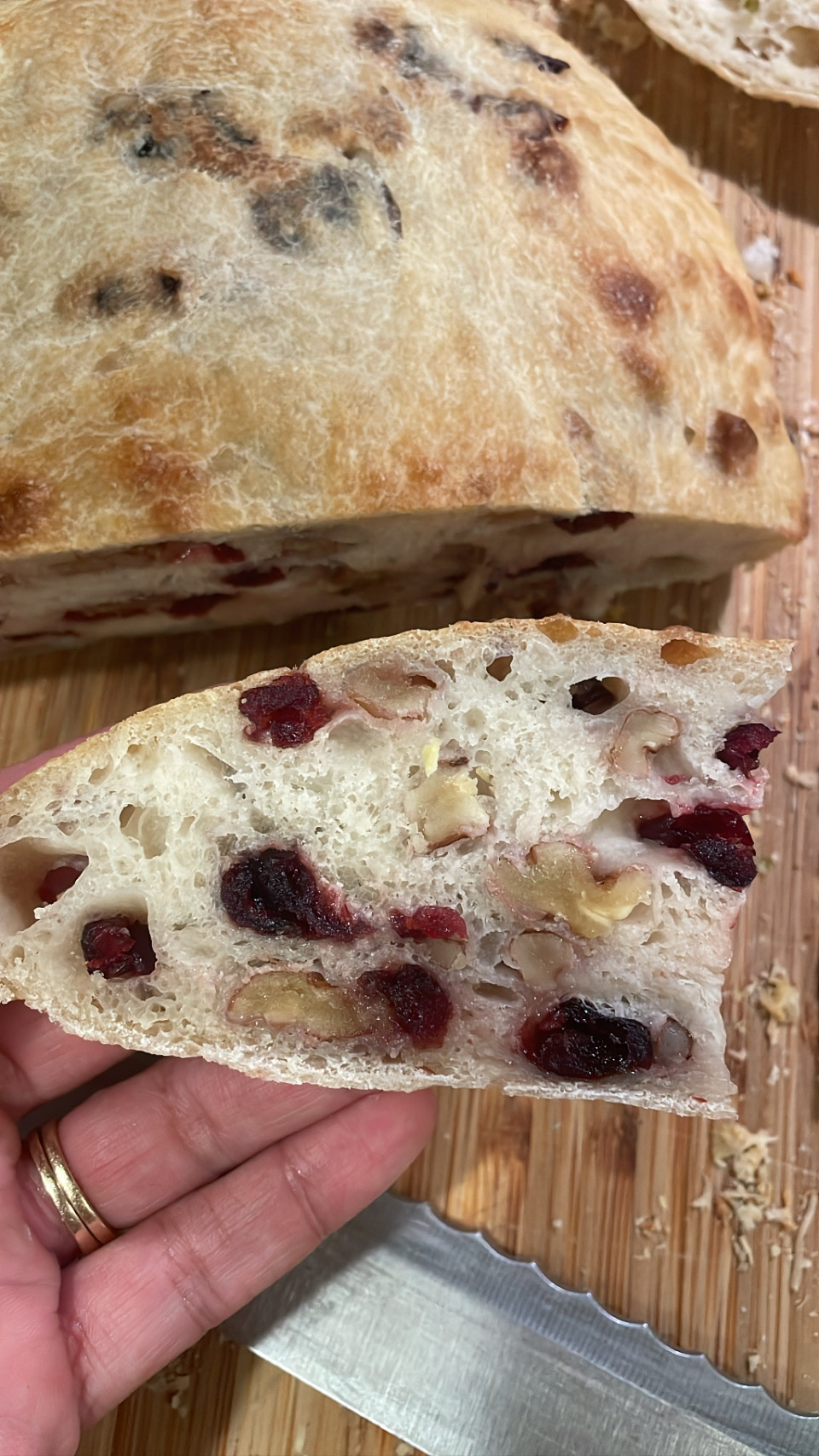 (small)Cranberry Walnut Sourdough Focaccia 