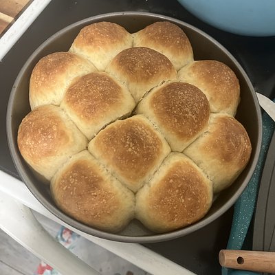 12ct Yeast Rolls