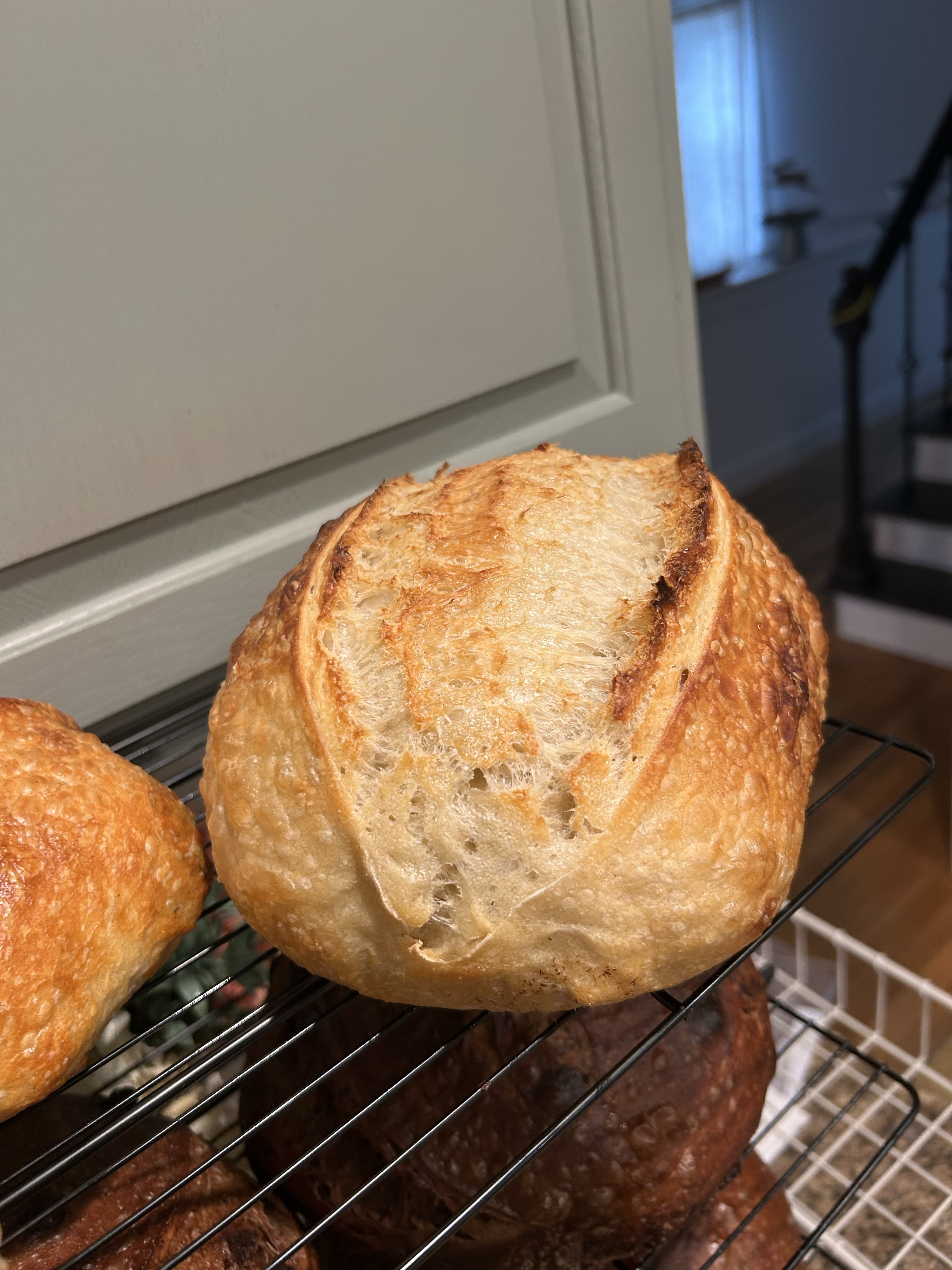 Cheddar Dill