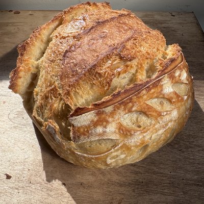 Classic Sourdough 