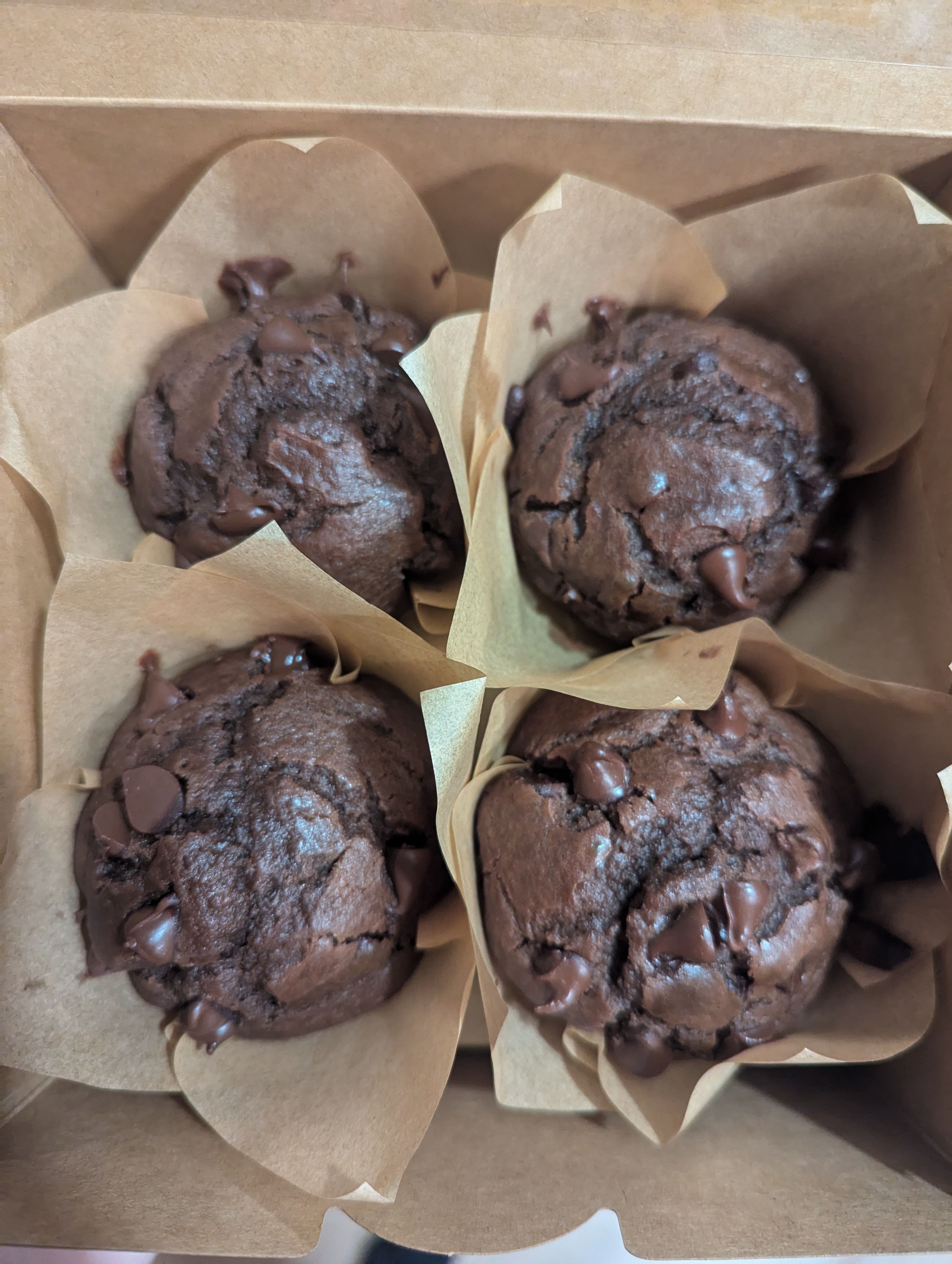 Double Chocolate Sourdough Muffins (Qty 8)