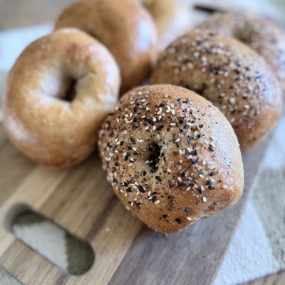 Everything YoBagel (qty 6)